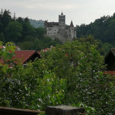 Pensiunea Transilvania Lodge Бран Экстерьер фото