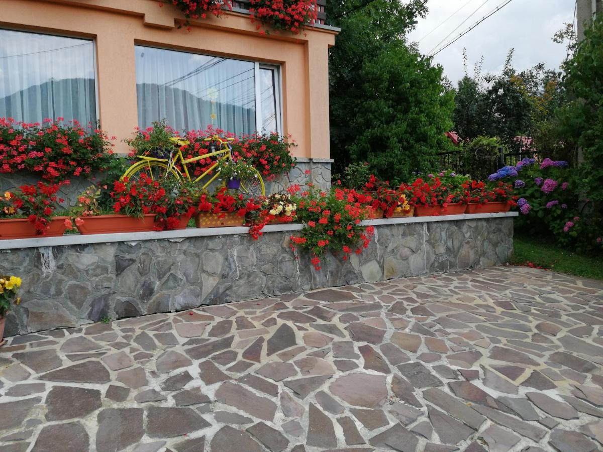 Pensiunea Transilvania Lodge Бран Экстерьер фото