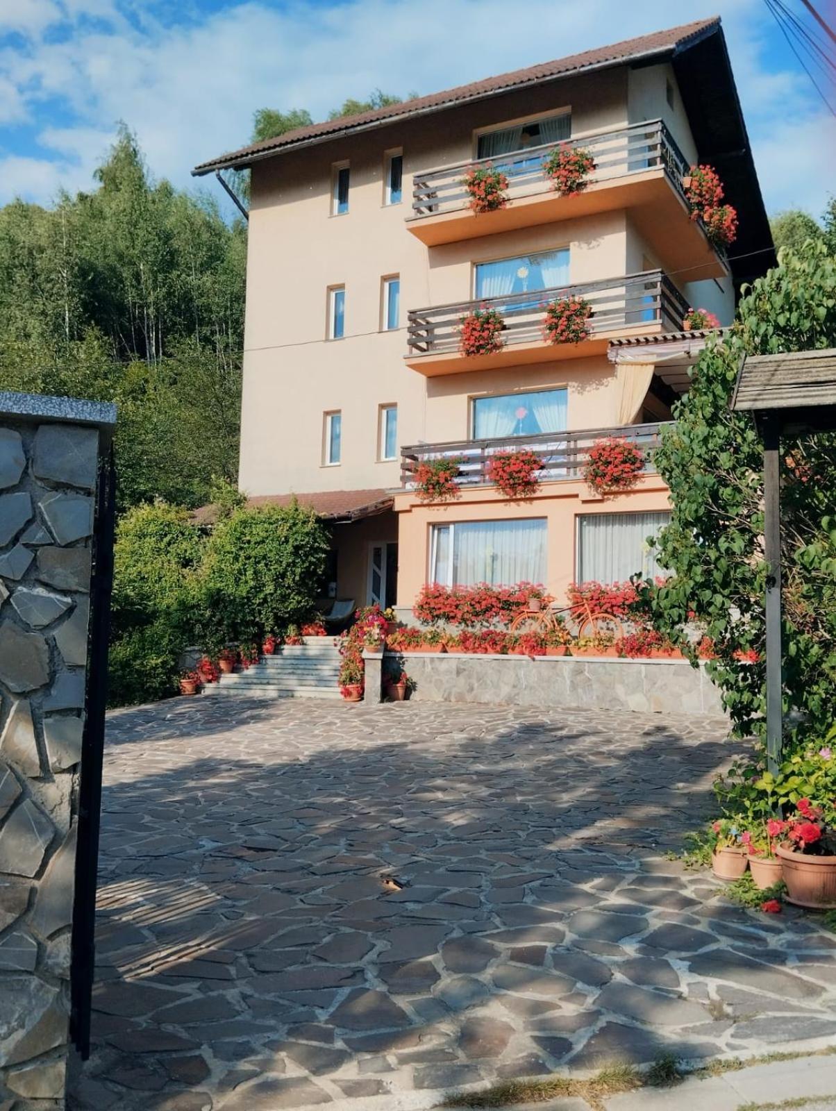 Pensiunea Transilvania Lodge Бран Экстерьер фото