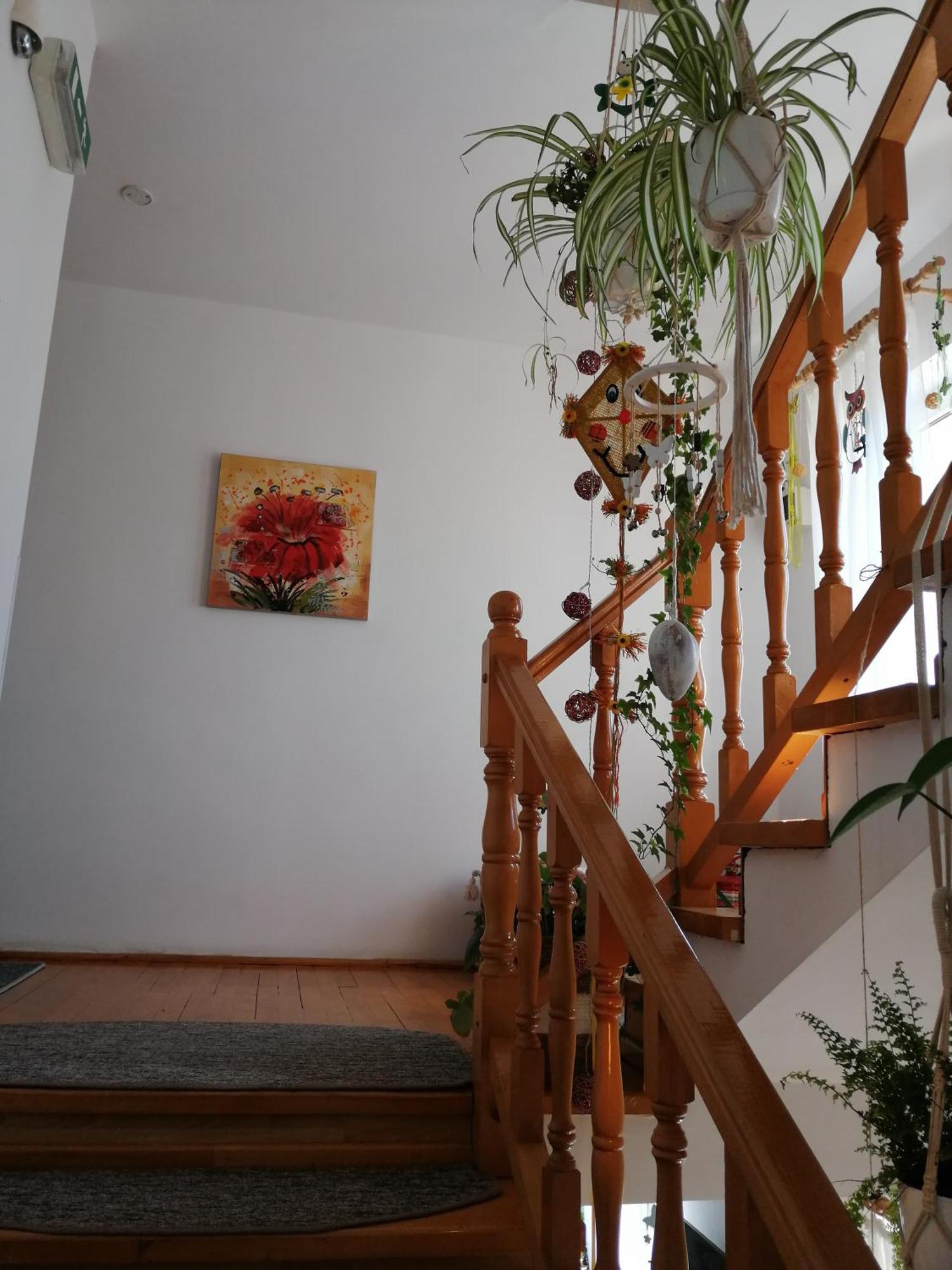 Pensiunea Transilvania Lodge Бран Экстерьер фото