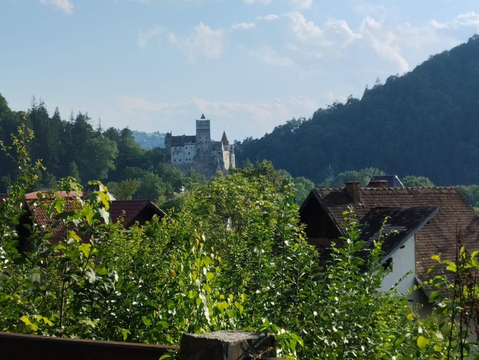 Pensiunea Transilvania Lodge Бран Экстерьер фото
